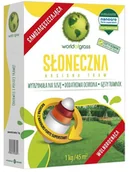Trawy i trawniki - WORLD OF GRASS Nasiona trawy na miejsca nasłonecznione i suche 1 kg samozagęszczjąca World of grass - miniaturka - grafika 1
