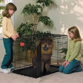 Sprzęt podróżny i transportery dla psów - MidWest MidWest Life Stages 1636DD - klatka dla psa o wymiarach 91x61x69cm, rozmiar L - miniaturka - grafika 1