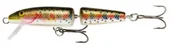 Przynęty - Rapala Join TED przynęta na pstrąga Rainbow Trout RT, 11cm J11RT - miniaturka - grafika 1
