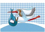 Pozostałe akcesoria kuchenne - Folat Falksson dekoracja okienna z tkaniny - miniaturka - grafika 1