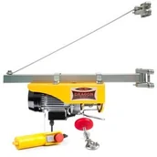 Wciągarki - Dragon Winch Wyciągarka warsztatowa DWI 125/250 230V + ramię wychylne DWI125250-R - miniaturka - grafika 1