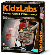 Mały naukowiec - 4M KidzLabs Poznaj Układ Pokarmowy - miniaturka - grafika 1