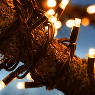 Markslojd Łańcuch świetlny Chrissline Extra 50 LED bursztyn - Oświetlenie świąteczne - miniaturka - grafika 2