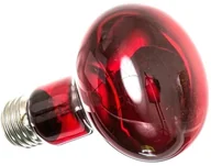 Akcesoria do terrarium - Repti-Zoo Infrared Heat 50W - żarówka grzewcza podczerwona RZ Infrared Heat R63050 50W - miniaturka - grafika 1