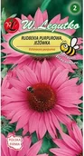 Nasiona i cebule - Legutko Rudbekia purpurowa Jeżówka różowa 1g - miniaturka - grafika 1