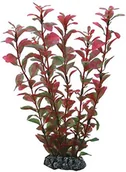 Dekoracje do akwarium - Hobby wing 41516 ludwigia, 25 cm - miniaturka - grafika 1