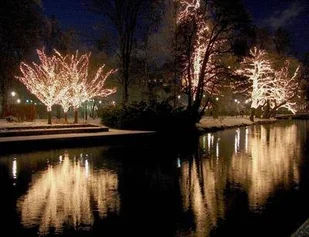 Zewnętrzne światełka choinkowe łańcuch LED 0,6W 50p CHRISSLINE 8683,000 Markslojd - Oświetlenie świąteczne - miniaturka - grafika 4