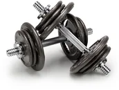 Hantle i ciężarki - Abarqs Hantle treningowe żeliwne AbarQs 20KG 2x10kg HKS.20 - miniaturka - grafika 1