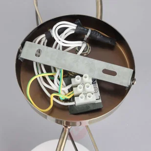 Lampenwelt Czteropunktowa lampa sufitowa Leanda - Lampy sufitowe - miniaturka - grafika 5