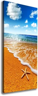 Foto obraz na płótnie Rozgwiazda na plaży - Obrazy i zdjęcia - miniaturka - grafika 8