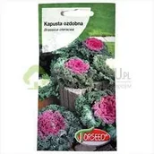 Nasiona i cebule - Torseed Kapusta ozdobna 0,5g - miniaturka - grafika 1