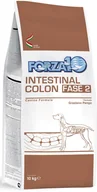 Sucha karma dla psów - Forza10 Intestinal Colon Fase 2 10 kg - miniaturka - grafika 1