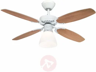 Westinghouse Halley wentylator, łopatki, buk - Wentylatory sufitowe - miniaturka - grafika 2