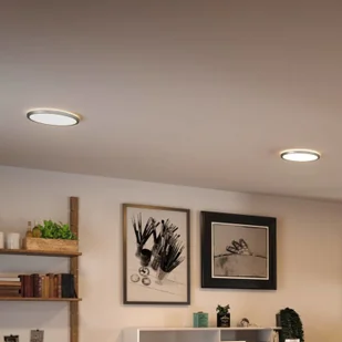 Paulmann Atria Shine panel LED chrom 19cm - Lampy pozostałe - miniaturka - grafika 2