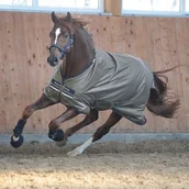 Derki dla konia - Kavalkade Derka padokowa Yukon II 100g 1680D - Kavalkade - mud 46612 - miniaturka - grafika 1