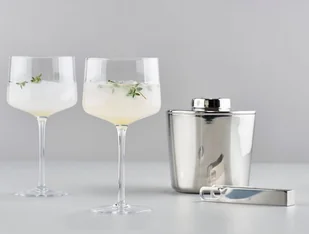 ZONE Denmark ZONE Denmark ROCKS Kieliszki Koktajlowe Wysokie 270 ml 2 Szt. 332101 - Kieliszki - miniaturka - grafika 2