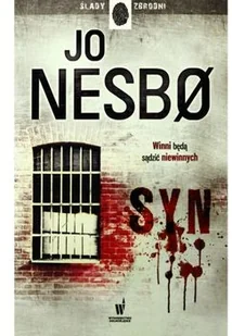 Syn - Thrillery - miniaturka - grafika 3