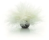 Dekoracje do akwarium - Oase OASE biorb akwariach See liliowy, niebieski, biały - miniaturka - grafika 1