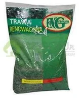 Trawy i trawniki - Fn Granum Mieszanka traw Renowacyjna 1kg - miniaturka - grafika 1