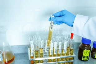 Brother TZES131 do PT9x00PC/3600 fol lam przezr /B - Papier do drukarek - miniaturka - grafika 8