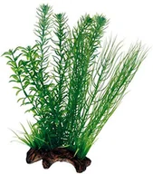 Sztuczne kwiaty - Hobby Flora Root replika korzeni ze sztucznymi roślinami, l - miniaturka - grafika 1