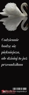 Bogulandia Zakładka do książki - Codziennie budzę się... - Powieści - miniaturka - grafika 2
