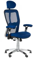 Fotele i krzesła biurowe - CorpoComfort Fotel ergonomiczny CorpoComfort BX-4147 Niebieski BX-4147/BLUE - miniaturka - grafika 1