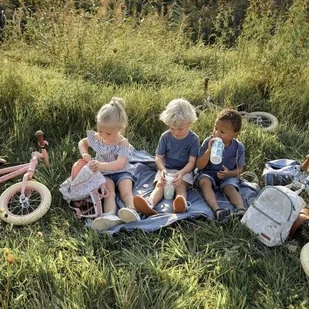 Little Dutch Little Dutch Rower biegowy Róż Mat LD8000 kidsinspirations-1495-0 - Rowerki biegowe - miniaturka - grafika 15