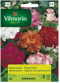 Nasiona i cebule - Vilmorin Nasiona pelargonia rabatowa - miniaturka - grafika 1