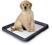 Pozostałe akcesoria dla kotów - Nobby Doggy Trainer, large - miniaturka - grafika 1