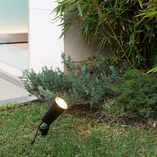 Faro Lorefar Reflektor i reflektor z grotem ziemnym Toni - Lampy ogrodowe - miniaturka - grafika 2