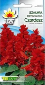 Nasiona i cebule - Toraf Szałwia błyszcząca Czardasz nasiona kwiatów 0,3g 00493 - miniaturka - grafika 1