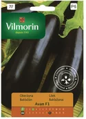 Nasiona i cebule - Vilmorin Nasiona oberżyna Avan mieszaniec - miniaturka - grafika 1