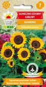 Nasiona i cebule - Toraf Słonecznik ozdobny karłowy Bambino 1g Nas000521 - miniaturka - grafika 1