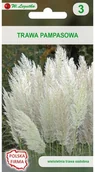 Trawy i trawniki - Legutko Trawa pampasowa BIAŁA - miniaturka - grafika 1