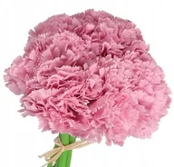 Sztuczne kwiaty - Goździk Bukiet Goździków Sztuczne Kwiaty 24CM 6GAŁ - miniaturka - grafika 1