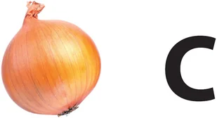 Wydawnictwo MAC Zdobywam świat. Poznaję litery - karty do czytania globalnego 882116 - Podręczniki dla szkół podstawowych - miniaturka - grafika 5