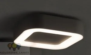 Nowodvorski PUEBLA 9513 plafon sufitowy 1x12W LED 3000K - Lampy sufitowe - miniaturka - grafika 2