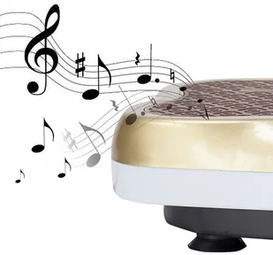 LOOP SVP03 GOLD PLATFORMA WIBRACYJNA - Platformy wibracyjne LOOP SVP03 GOLD PLATFORMA WIBRACYJNA - Platformy wibracyjne - miniaturka - grafika 20