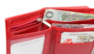 Z.Ricardo Portfel Skórzany (PL) Skóra Licowa 12 cm Kieszeń Na Zewnątrz ZR21 - Portfele - miniaturka - grafika 3