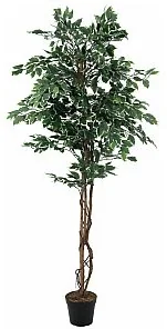 Europalms Europalms Variegated Ficus, 180cm, Sztuczne drzewo 82506116 - Sztuczne drzewka Europalms Europalms Variegated Ficus, 180cm, Sztuczne drzewo 82506116 - Sztuczne drzewka - miniaturka - grafika 1