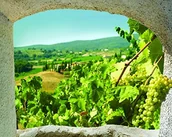 Naklejki na drzwi i meble - Plage PLAGE 140421 naklejka na Self-adhesive trompa L 'oeil Window "trompa L 'oeil" Adhesive (polystick)  Toscana (60 x 75 cm), winyl, Colorful, 75 x 0.1 x 60 cm 140421 - miniaturka - grafika 1