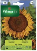 Nasiona i cebule - Vilmorin Nasiona słonecznik Big Smile - miniaturka - grafika 1