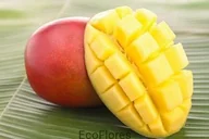 Olejki do ciała i włosów - Ecoflores MASŁO MANGO RAFINOWANE Mas_mango - miniaturka - grafika 1