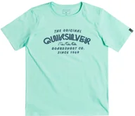 Koszulki dla chłopców - Quiksilver t-shirt YOUTH WILDER MILE TEE Cabbage GEA0 - miniaturka - grafika 1
