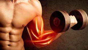 Olimp Amino Target Xplode (Kompleks Aminokwasów, Regeneracja) 275g Cytryna - Aminokwasy - miniaturka - grafika 3