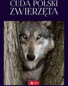 Albumy - przyroda - Cuda Polski Zwierzęta Łukasz Przybyłowicz - miniaturka - grafika 1