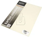 Papier do drukarek - Galeria Papieru Papier ozdobny ARGO 230g. - skóra kremowa - miniaturka - grafika 1