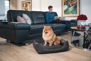 Ami Play Sofa ZipClean 4 in 1 Morgan-brąz S 55628-uniw - Legowiska dla psów - miniaturka - grafika 5