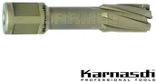 Wiertła - Karnasch Wiertło koronowe z chwytem Weldon, Hard-Line - 48MM x 55MM - (20.1316) KAR_201316048 - miniaturka - grafika 1